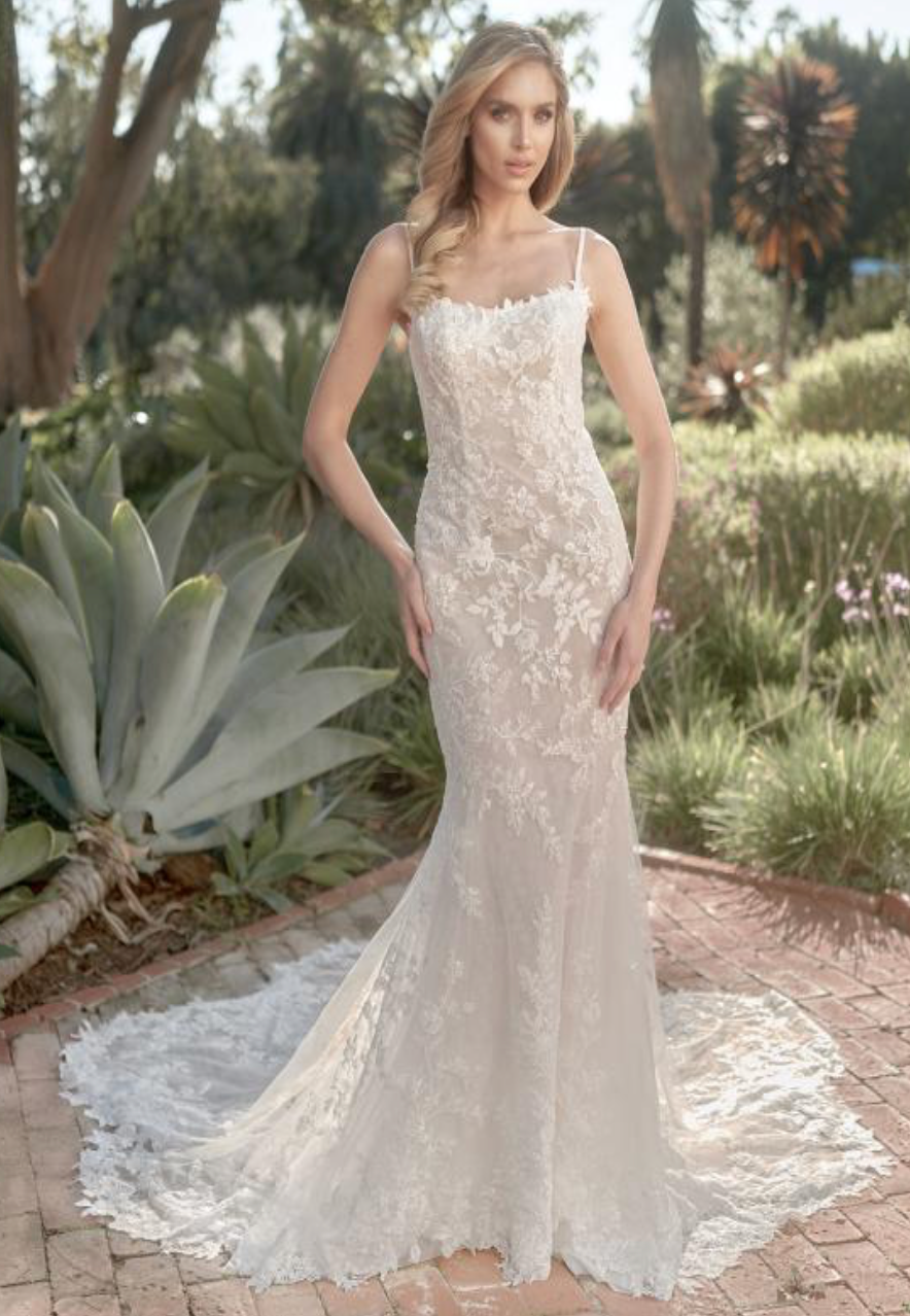 Ariella Dress